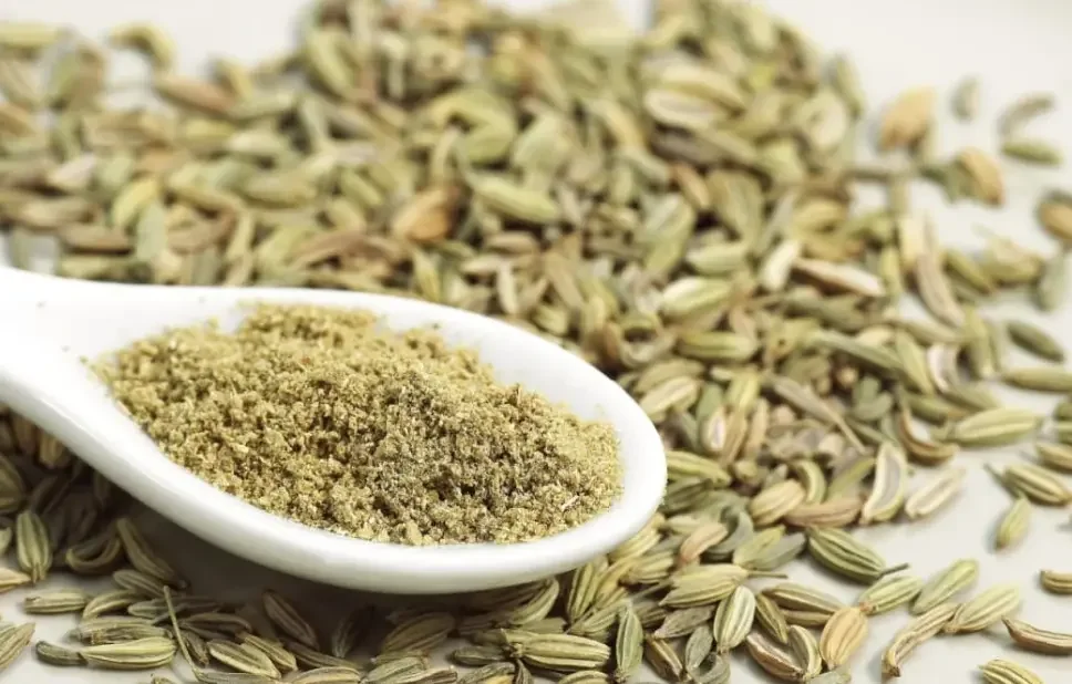 Fennel Ground