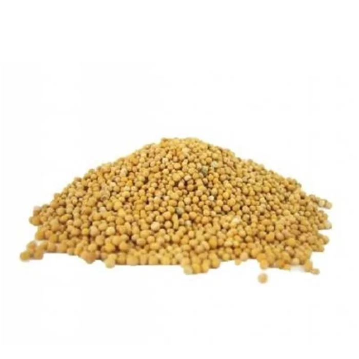 Yellow Mustard Seed
