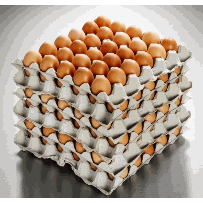 West Coast F/R  Eggs Caterer Pack 10.6kg