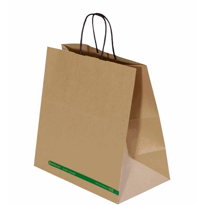 Carry Paper Bag (EP-PB003) Twist Handle Kraft (300x300x175mm) x 250pcs