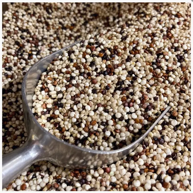 Mixed Quinoa